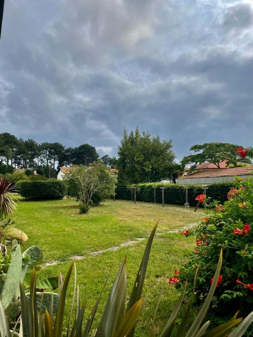 Appartement T3 - Foret & Plage Anglet Exterior photo