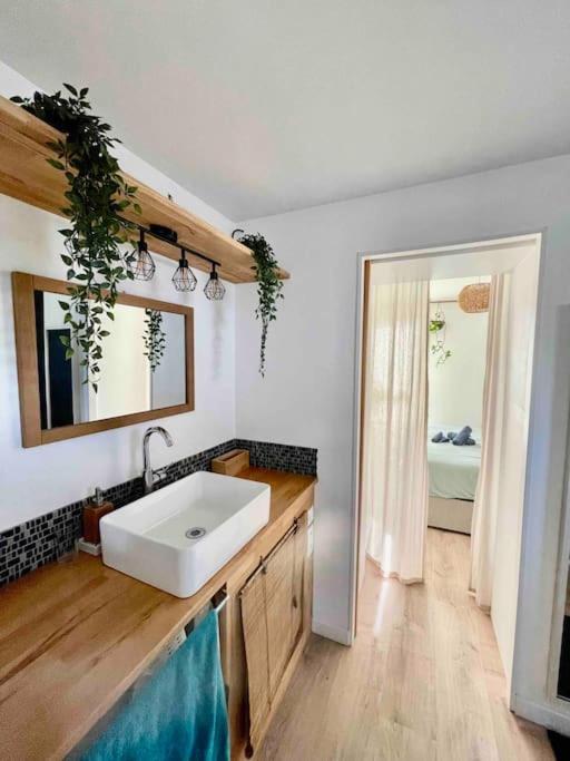 Appartement T3 - Foret & Plage Anglet Exterior photo